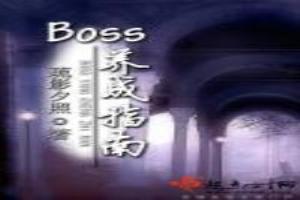 BOSS養成指南