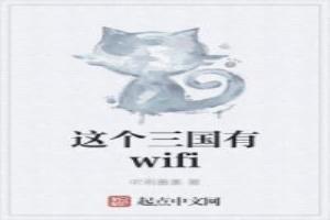 這個三國有wifi