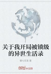 關於我開局被鎖級的異世生活錄